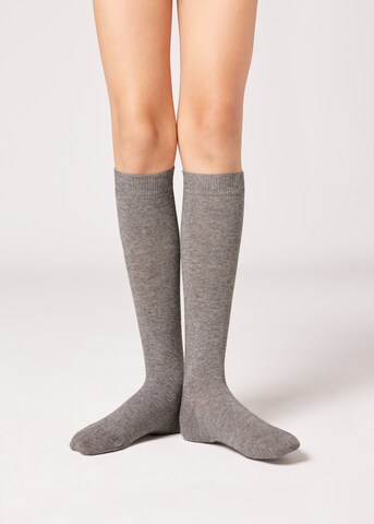 CALZEDONIA Socks in Grey: front