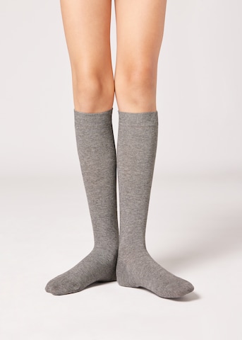 CALZEDONIA Socks in Grey: front