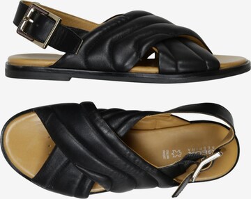 GEOX Sandalen 36,5 in Schwarz: Vorderseite