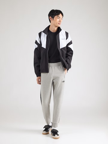 ADIDAS ORIGINALS Tapered Trousers in Grey