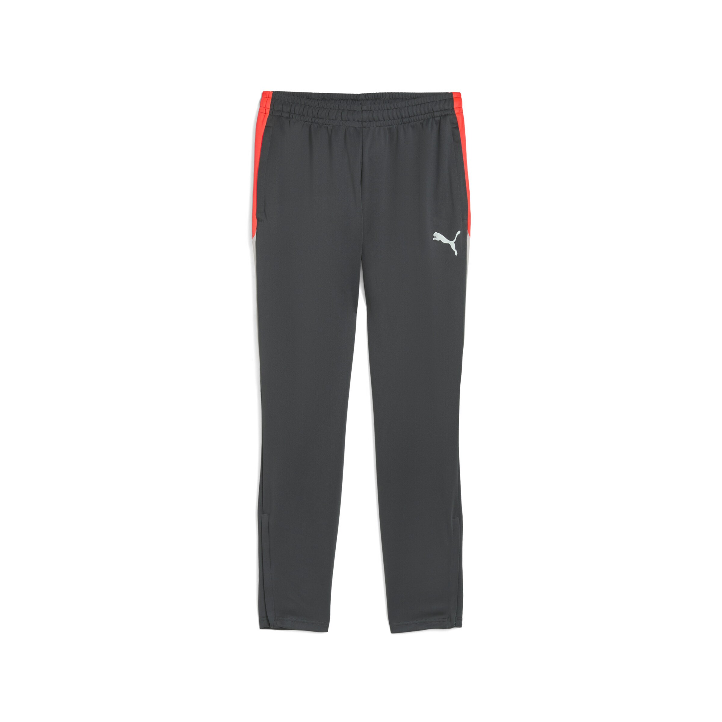 PUMA Slimfit Sporthose 'Individual LIGA' in Grau: Vorderseite