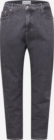 Calvin Klein Jeans Curve Jeans in Grey: front