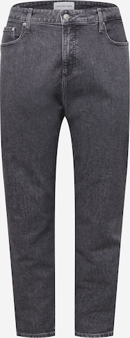 Calvin Klein Jeans Curve Regular Jeans in Grijs: voorkant