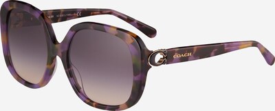 COACH Слънчеви очила '0HC8292' в кафяво / патладжан / тъмнолилаво, Преглед на продукта
