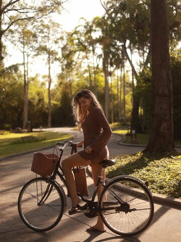 Jupe MYLAVIE by Sarah Harrison en marron