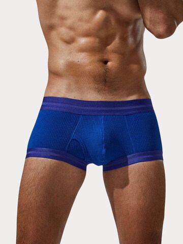 TAUWELL Boxershorts in Blau: Vorderseite