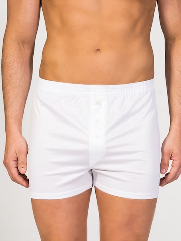 zd ZERO DEFECTS Boxer shorts 'Button Boxer Mercerized Cotton' in White: front