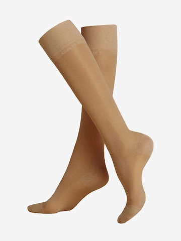 Chaussettes montantes 'Fly&Care® 40' KUNERT en beige : devant