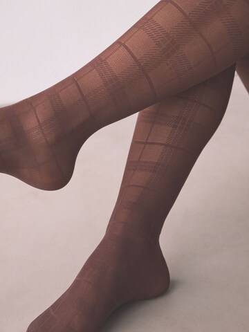 Next Hlačne nogavice | rjava barva