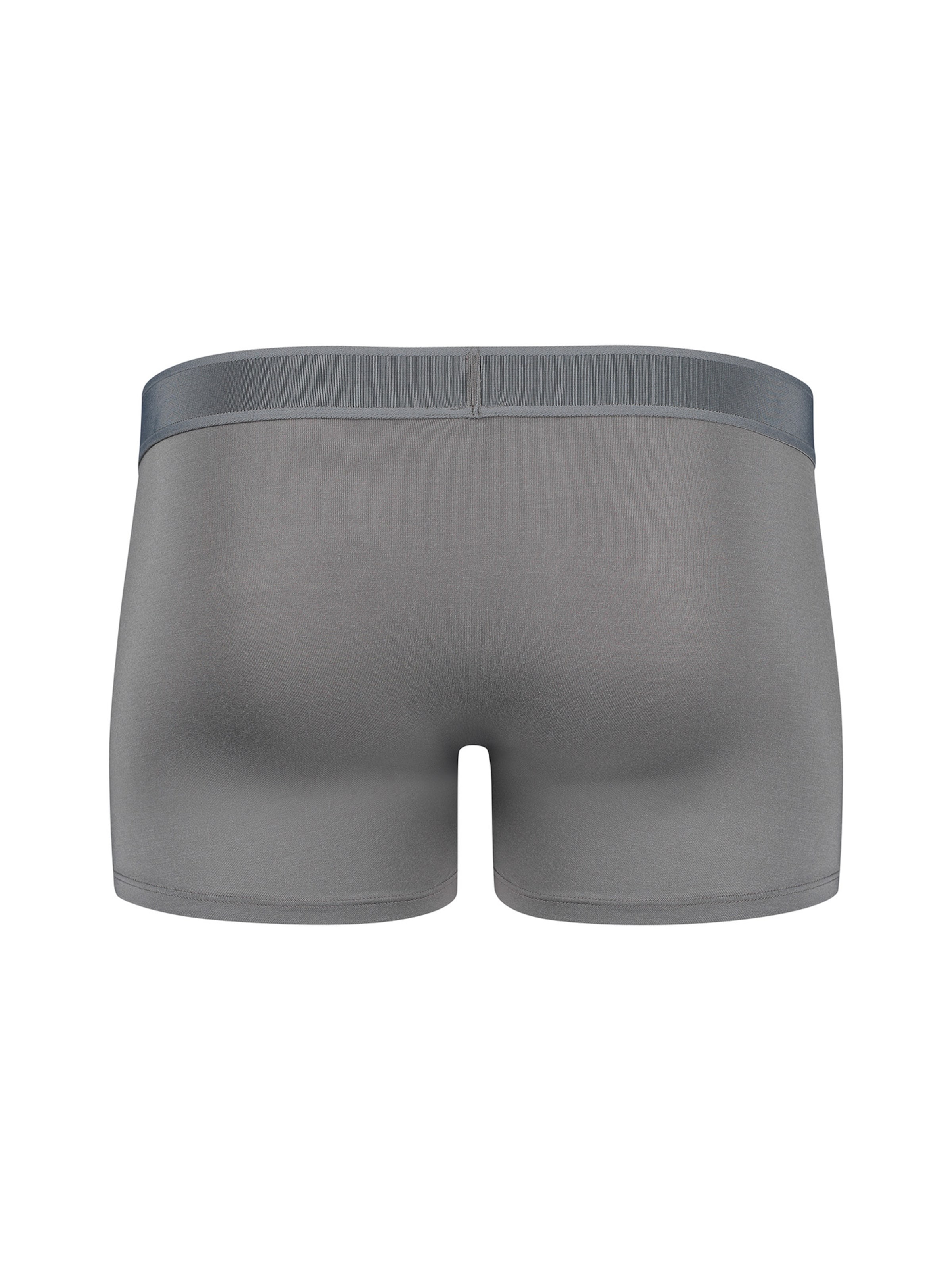 Skiny Bokserishortsit värissä harmaa