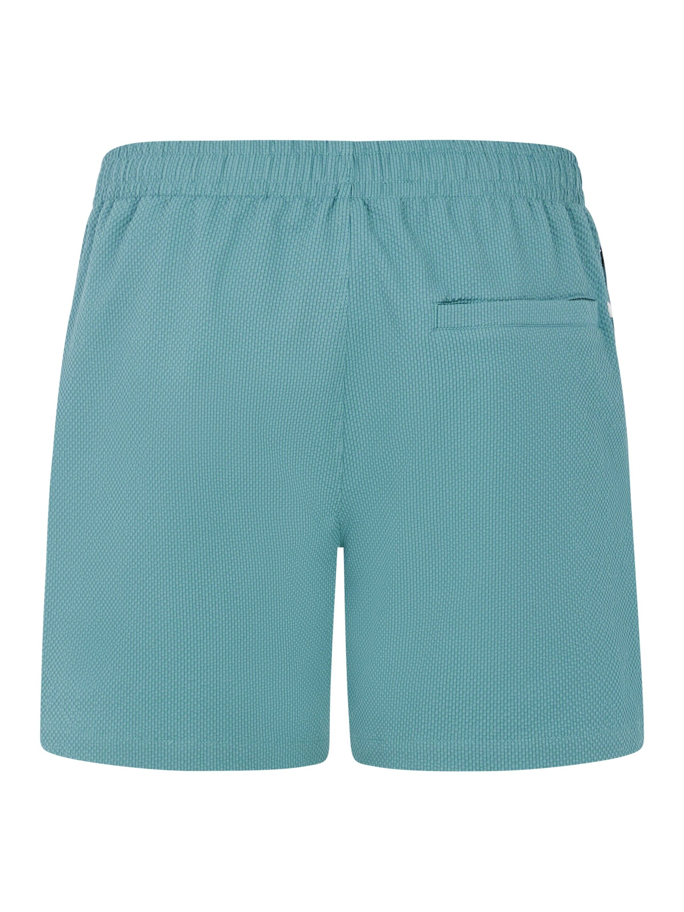 PROTEST Board Shorts 'PRTWytona' in Green