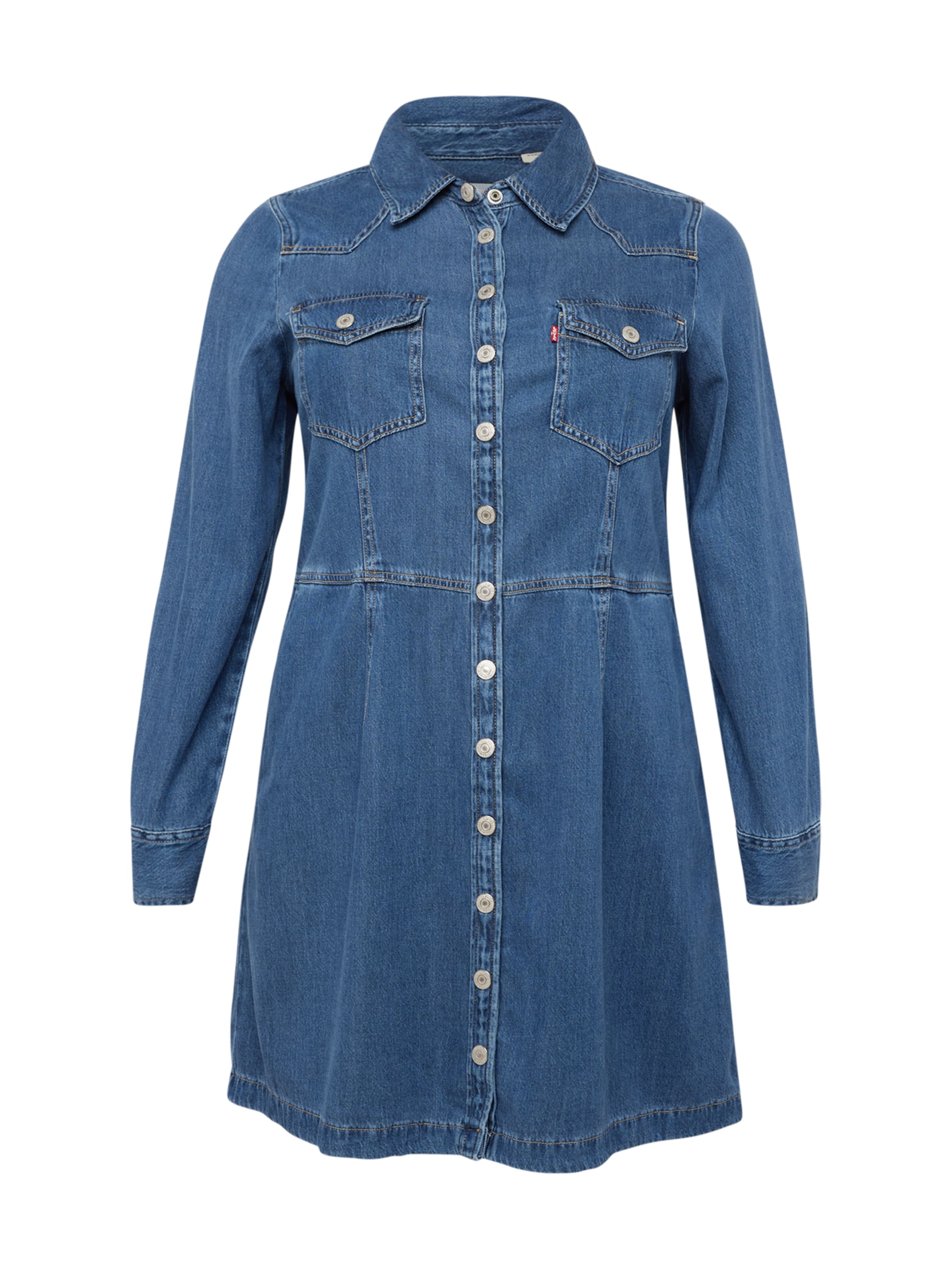 Levi's® Plus Kleid in Blau: Vorderseite