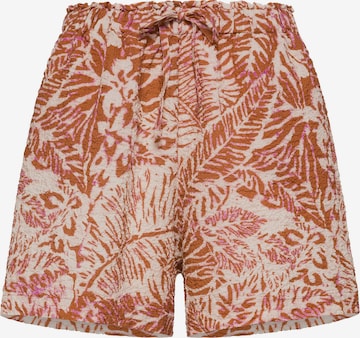 DEHA Broek in Bruin: voorkant