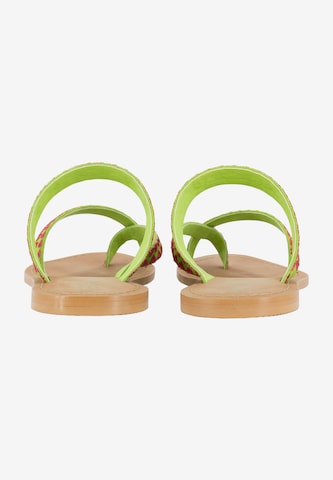 IZIA T-Bar Sandals in Green