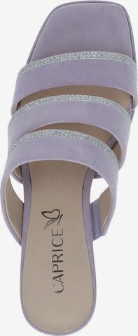 CAPRICE Pantolette in Lila