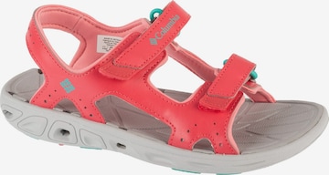 COLUMBIA Low shoe 'Columbia Youth Techsun Vent Sandal' in Pink: front