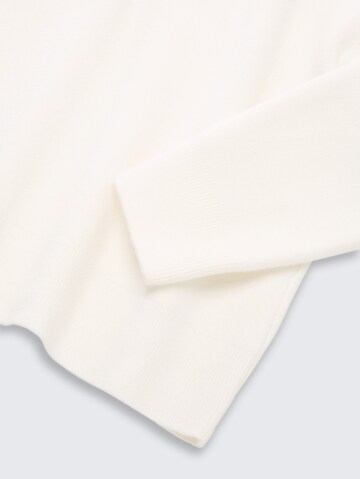 TOM TAILOR Pullover in Braun