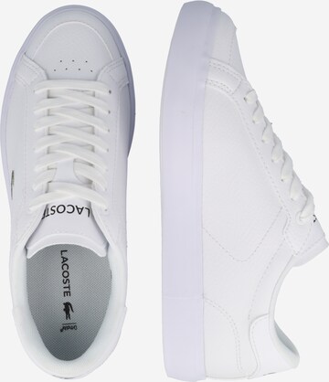 Baskets basses LACOSTE en blanc