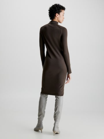 Calvin Klein Kleid in Braun