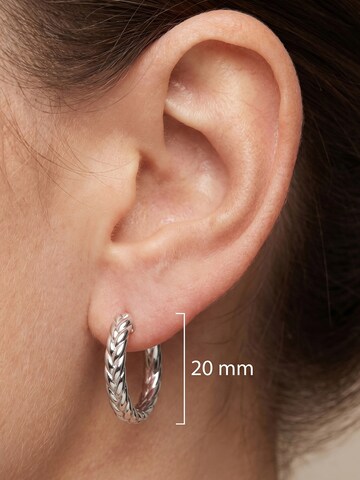 Jobo Earrings in Silver