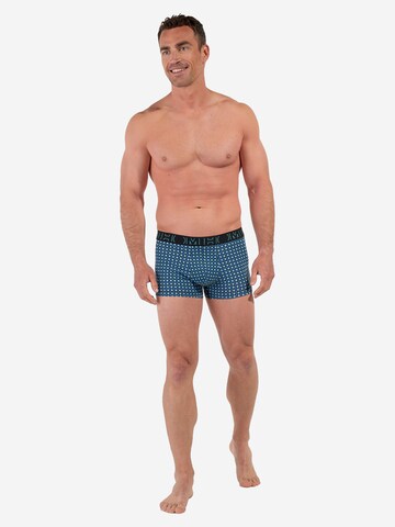 HOM Boxer shorts 'Marco' in Mixed colours