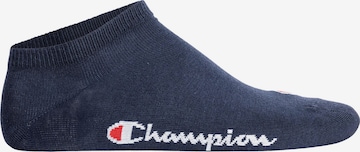 Chaussettes Champion Authentic Athletic Apparel en bleu