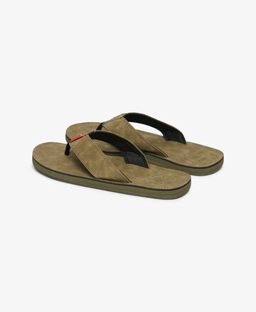 Superdry Teenslippers in Groen