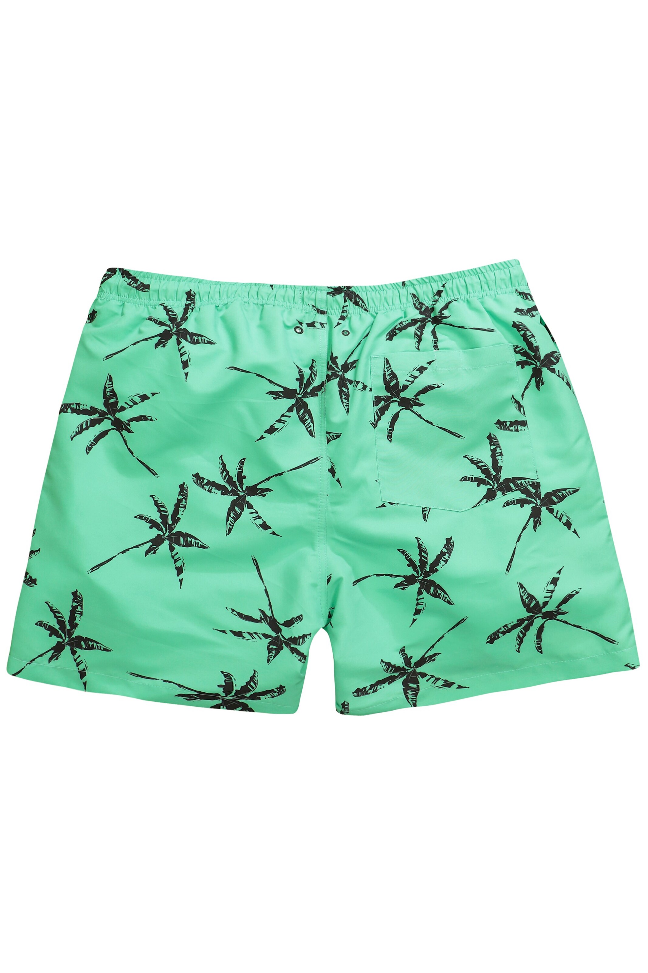 Men Plus Swimming shorts in Green