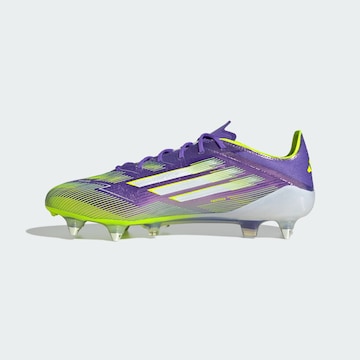 Scarpa da calcio 'F50 Elite' di ADIDAS PERFORMANCE in lilla