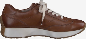 Paul Green Sneakers in Brown