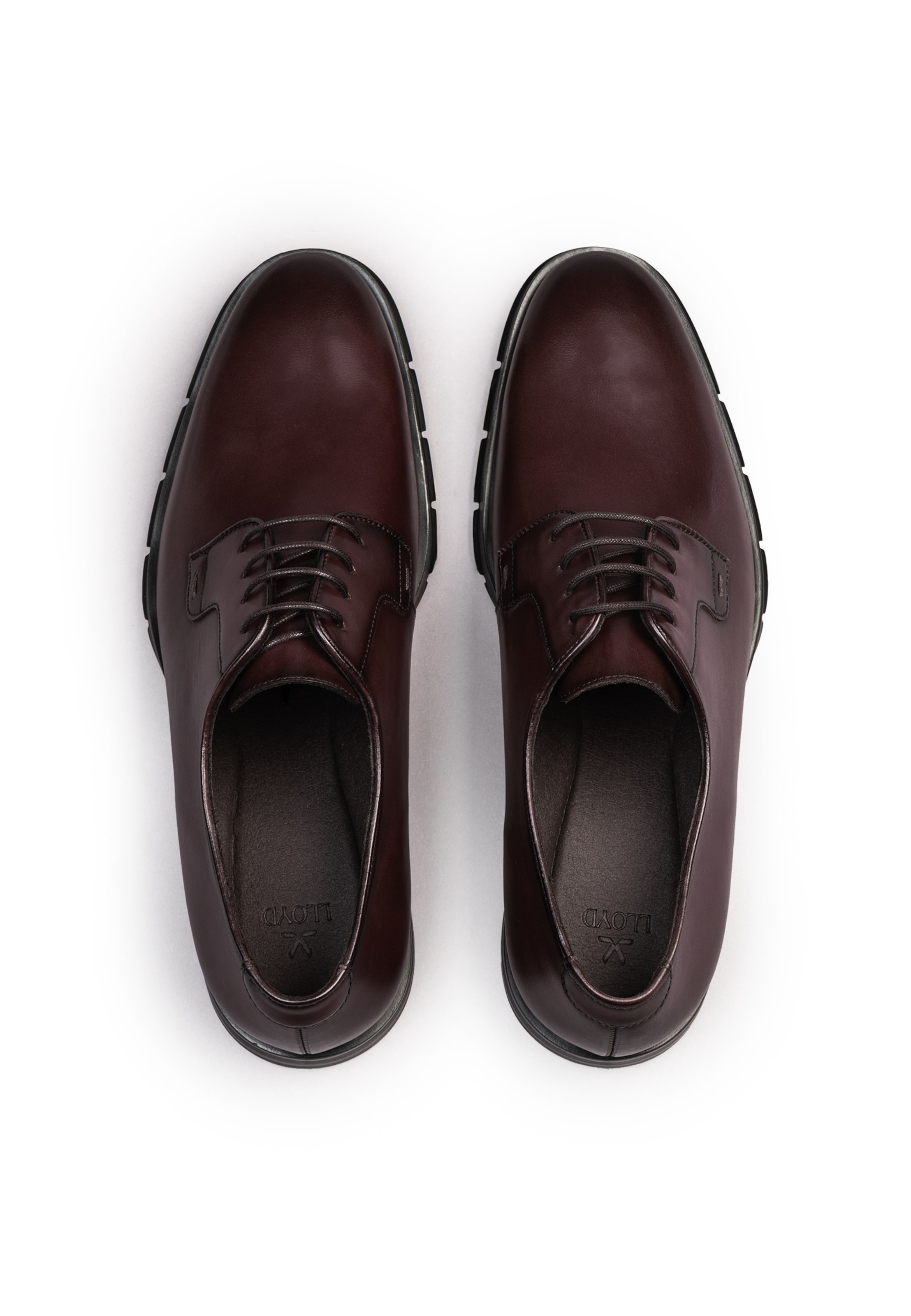 Scarpa stringata 'EEZY PLUS 110' di LLOYD in marrone