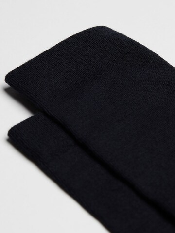 CALZEDONIA Socks in Blue