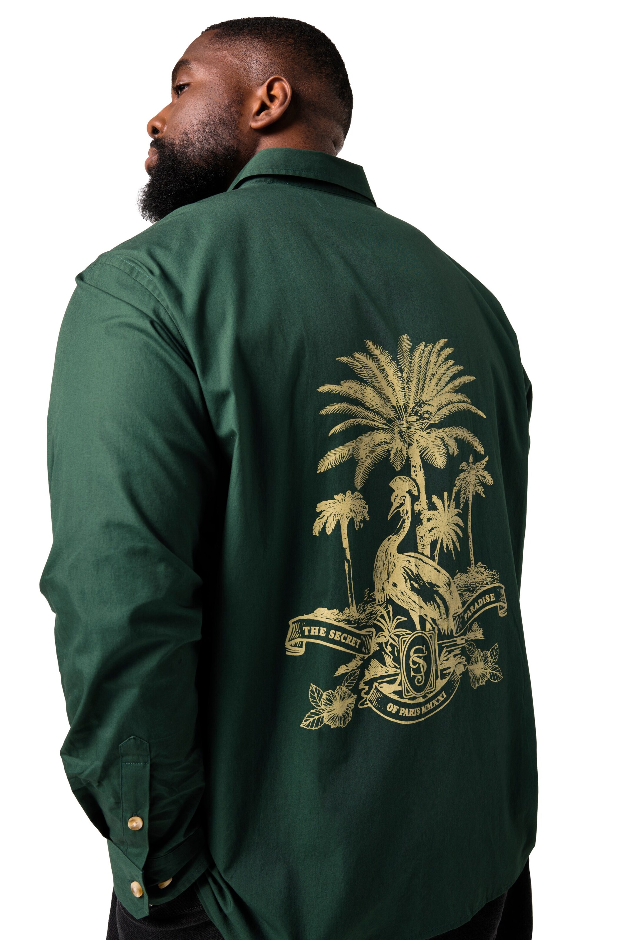 STHUGE Regular fit Button Up Shirt in Green