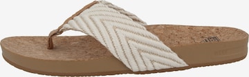 REEF Beach & Pool Shoes 'Cushion' in Beige