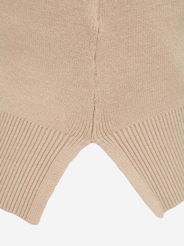 Noisy May Petite Knitted Top 'SHIP' in Beige