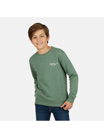 CARS Sweatshirt in Green: front