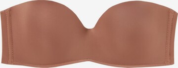 INTIMISSIMI Bra in Brown: front