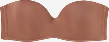 INTIMISSIMI Bandeau Bra in Brown: front