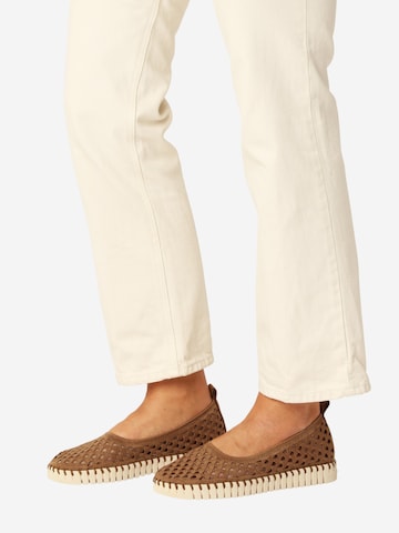 ILSE JACOBSEN Ballerina 'TULIP3479' in Brown: front