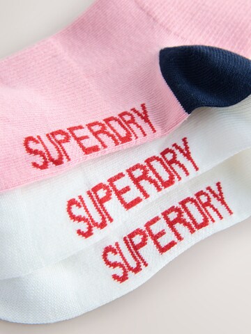 Superdry Носки в Ярко-розовый