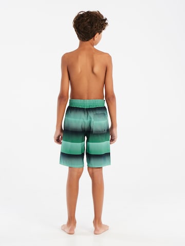 PROTEST Badeshorts 'PRTRay JR' in Grün