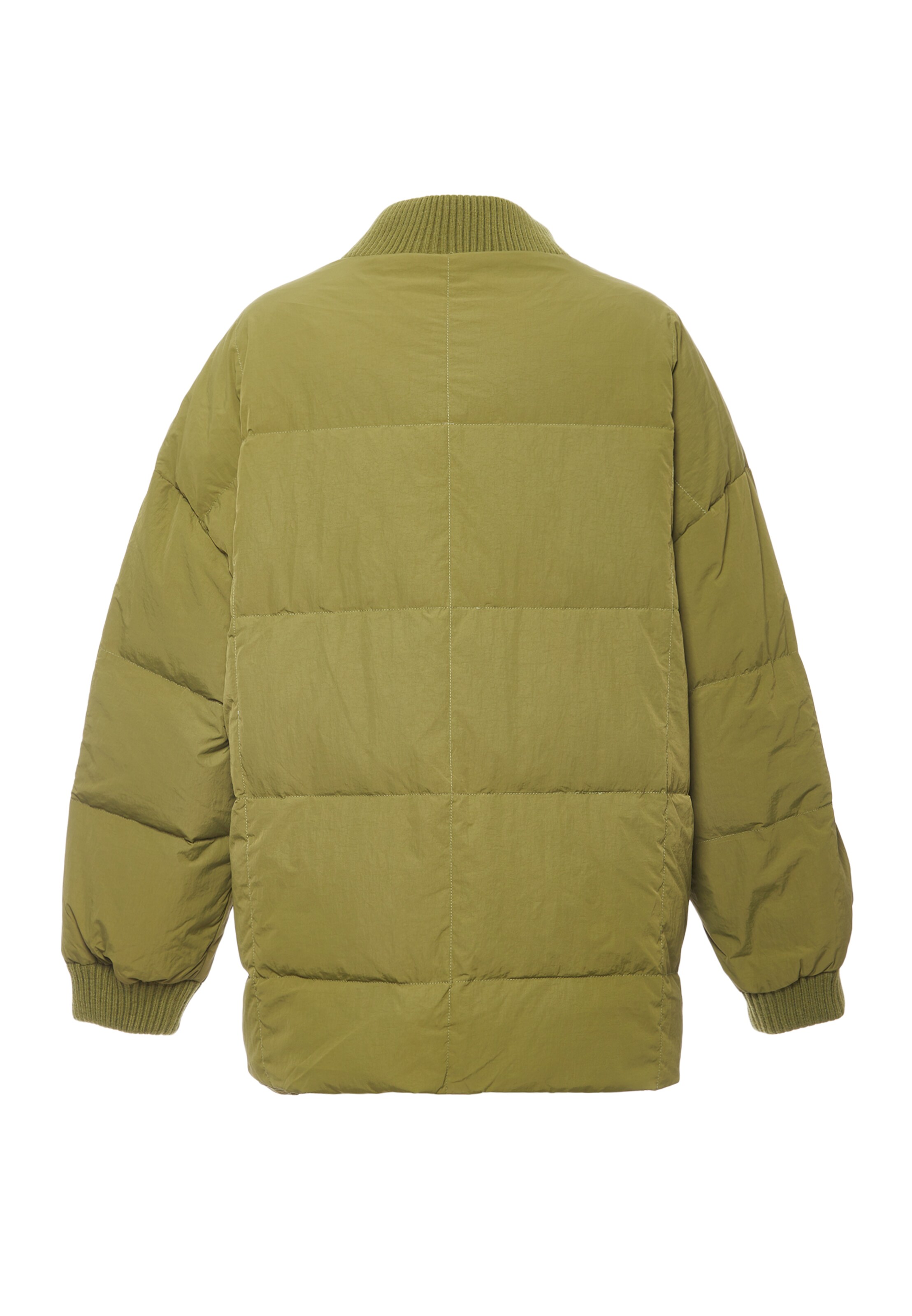 Koosh Зимняя куртка в Зеленый