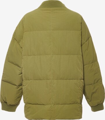 Koosh Winter Jacket in Green