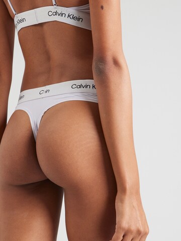 Calvin Klein Underwear String in Lila