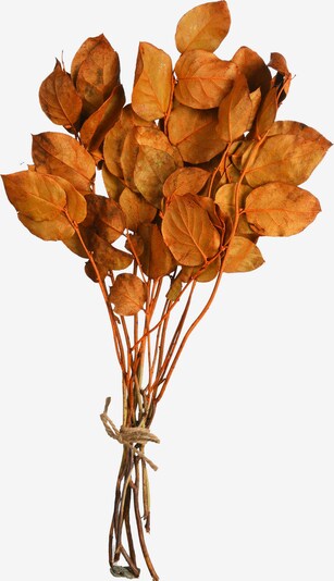 Depot Trockenblumen ' Leaves ' in dunkelorange, Produktansicht