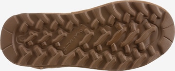 Bearpaw Boots in Brown