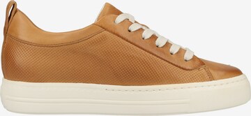 Paul Green Sneaker in Braun