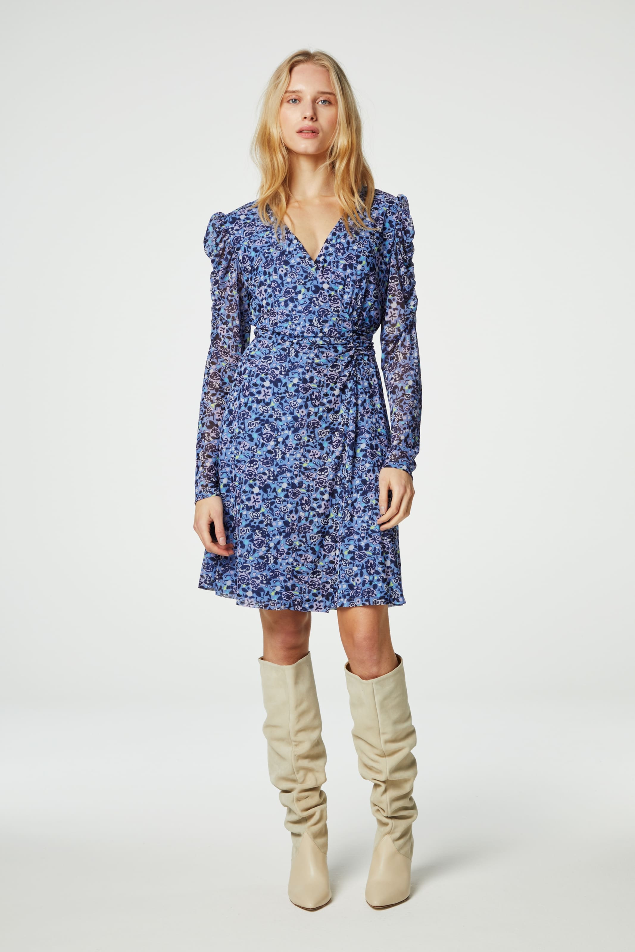 Fabienne Chapot Jurk in Blauw