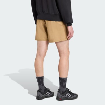 ADIDAS TERREX Regular Sportbroek 'Multi' in Bruin