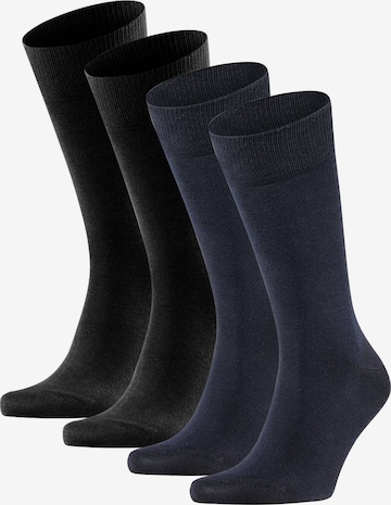 Chaussettes FALKE en bleu : devant